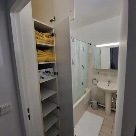 Elegant Confortable Paris Billancourt